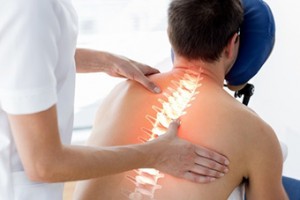 Sección Fisioterapia y Osteopatía: Exploración de una columna vertebral