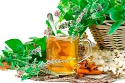 Imagen de una infusión de plantas medicinales